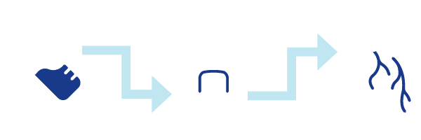  CT Coronary Arteries